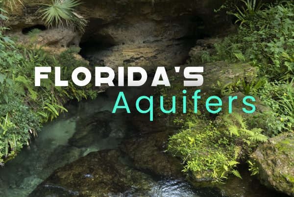 Florida’s Aquifers