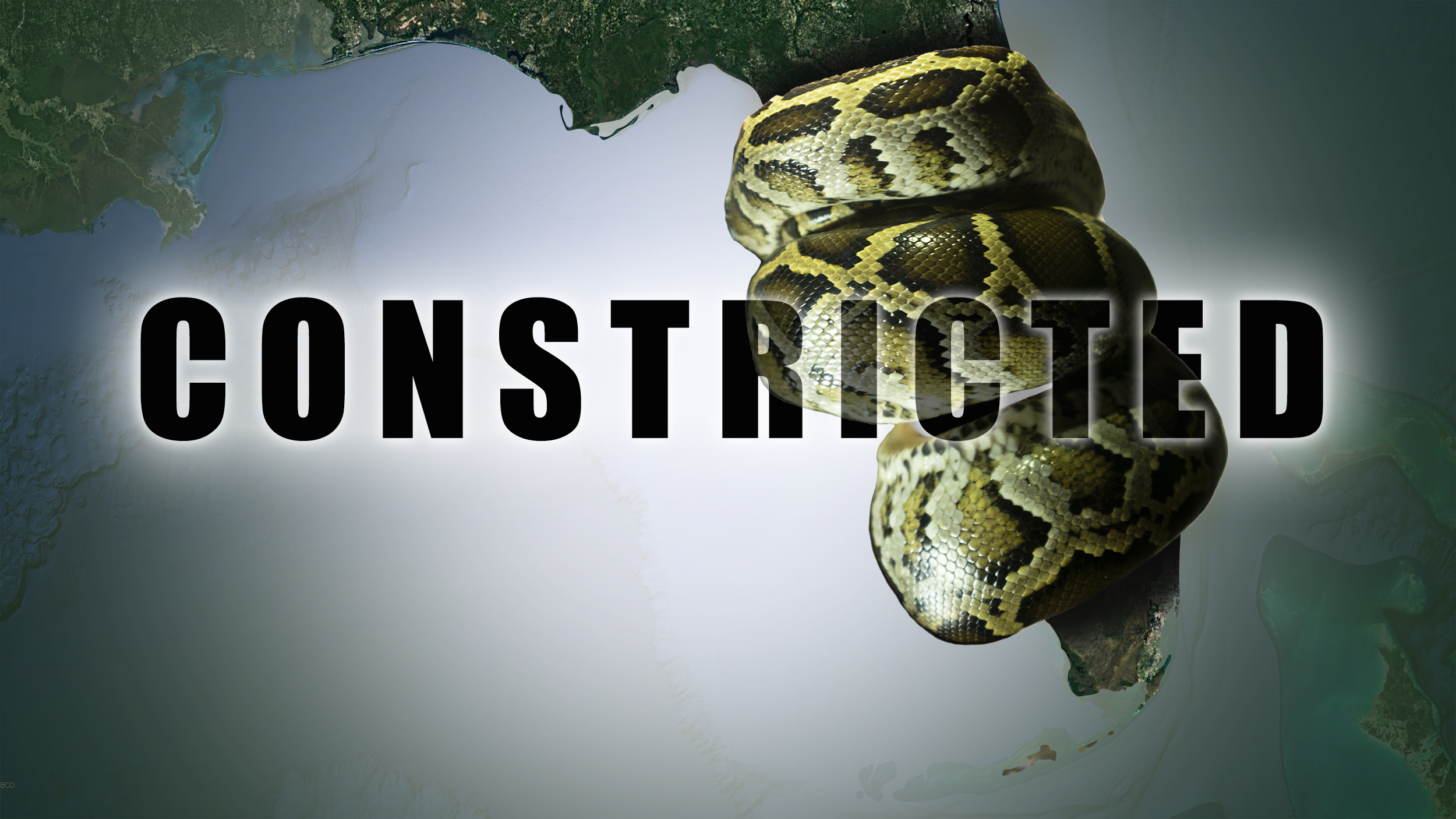 Constricted: Florida's Exotic Invaders • Odyssey Earth