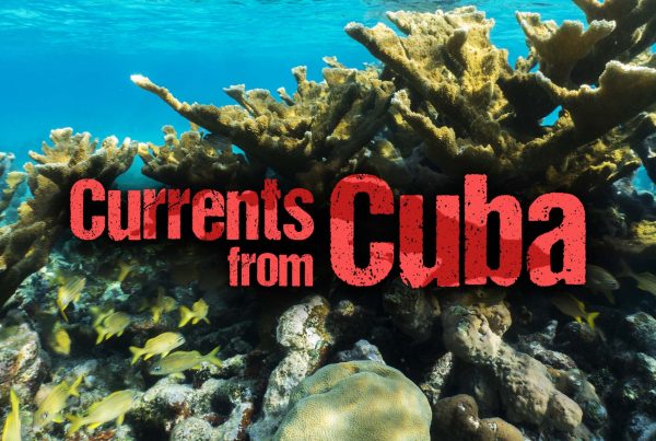 Currents from Cuba