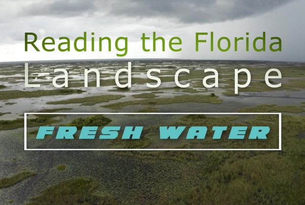 Reading the Florida Landscape: Freshwater