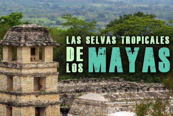 Las Selvas Tropicales de los Mayas