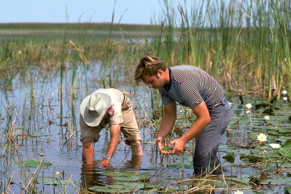 Filmmaker Rich Kern prepares to film Everglades snail kites on Lake Okeechobee